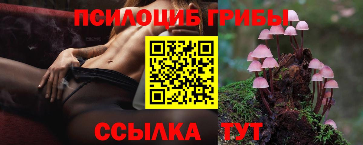 Галлюциногенные грибы ЛСД Вологда