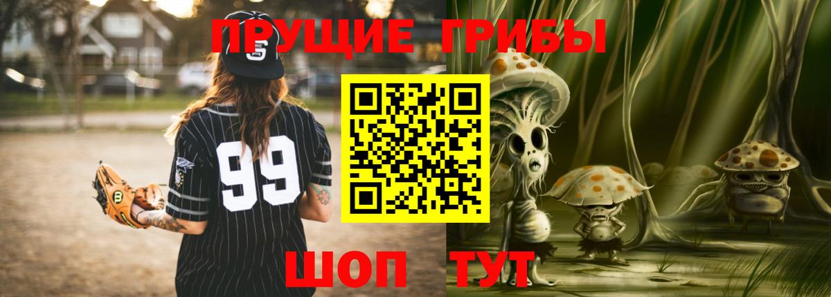 Галлюциногенные грибы Magic Shrooms  где купить наркоту  Вологда  Вход с VPN  Псилоцибиновые грибы прущие грибы 